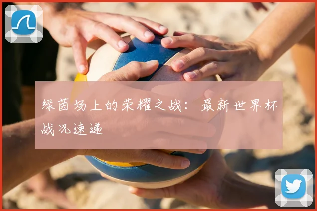 绿茵场上的荣耀之战：最新世界杯战况速递