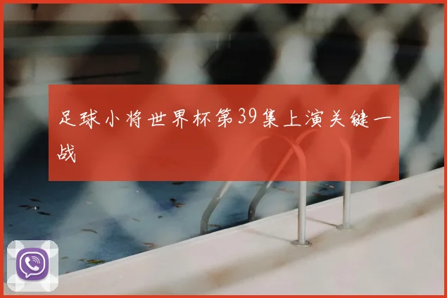 足球小将世界杯第39集上演关键一战