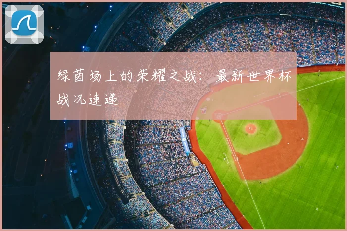 绿茵场上的荣耀之战：最新世界杯战况速递