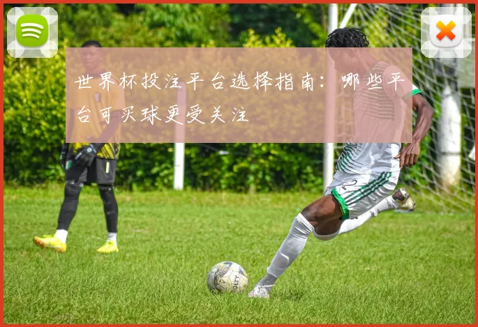 世界杯投注平台选择指南:哪些平台可买球更受关注