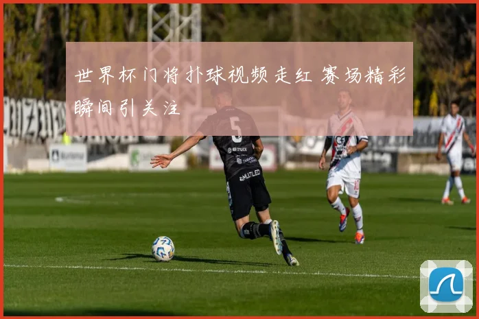 世界杯门将扑球视频走红 赛场精彩瞬间引关注