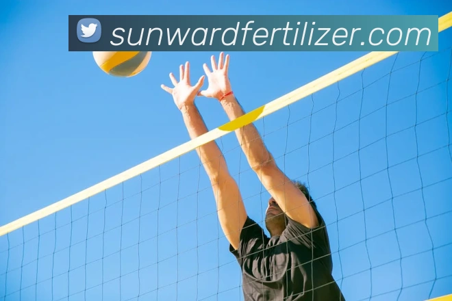 App Interface Preview