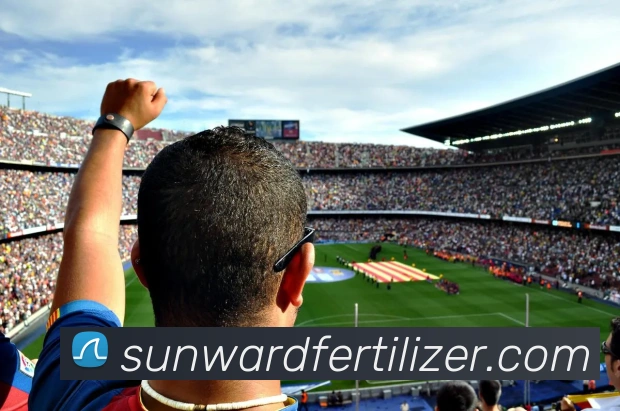 leyu乐鱼在线官网APP 封面图